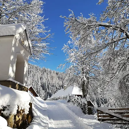 Hébergement de vacances Kurzen Fladnitz an der Teichalm